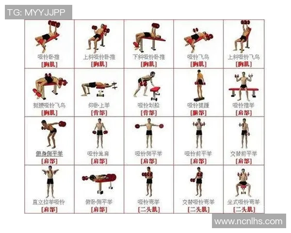 掌握正确技巧提高效果如何有效举哑铃锻炼全身肌肉